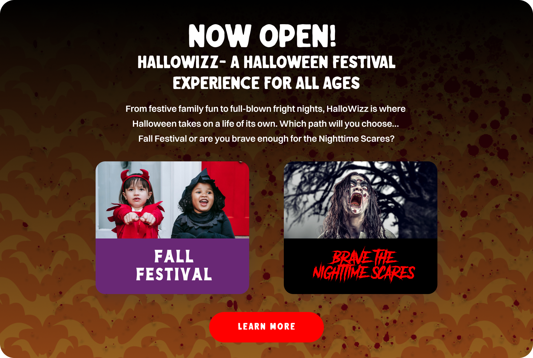 HalloWizz